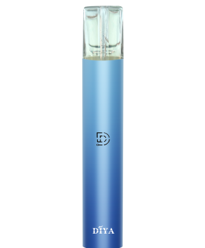 DIYA叮啞主機普通款迷情霧藍款圖片