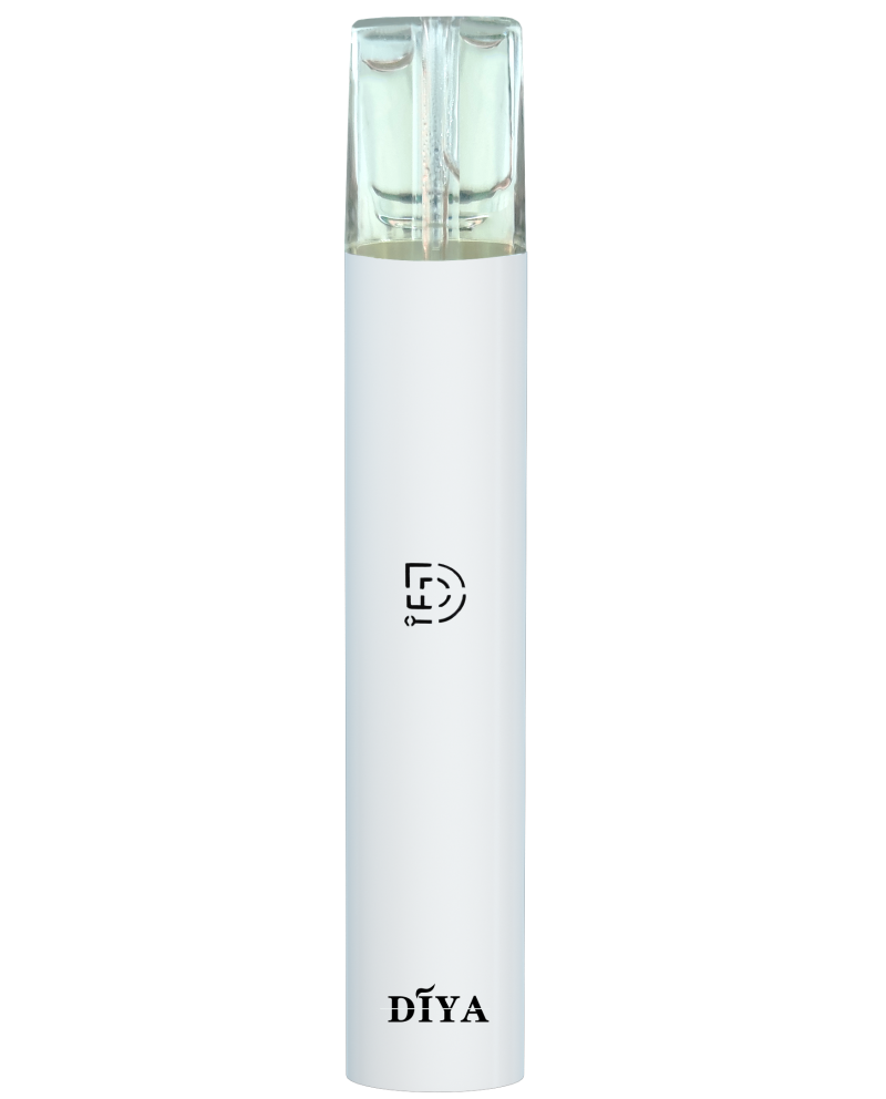 DIYA叮啞主機普通款皓月白款顏色圖片