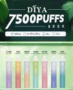 DIYA叮哑7500口抛弃式電子藝主图