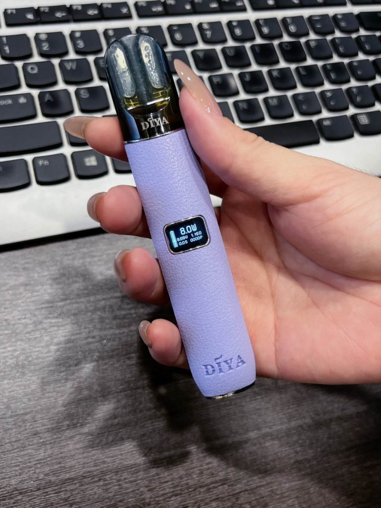 DIYA叮啞皮革主機圖片